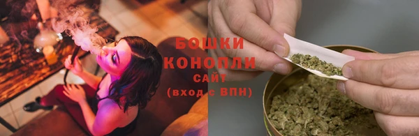 прущие крисы Белоозёрский