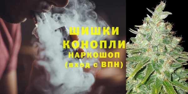 гидра Богородск